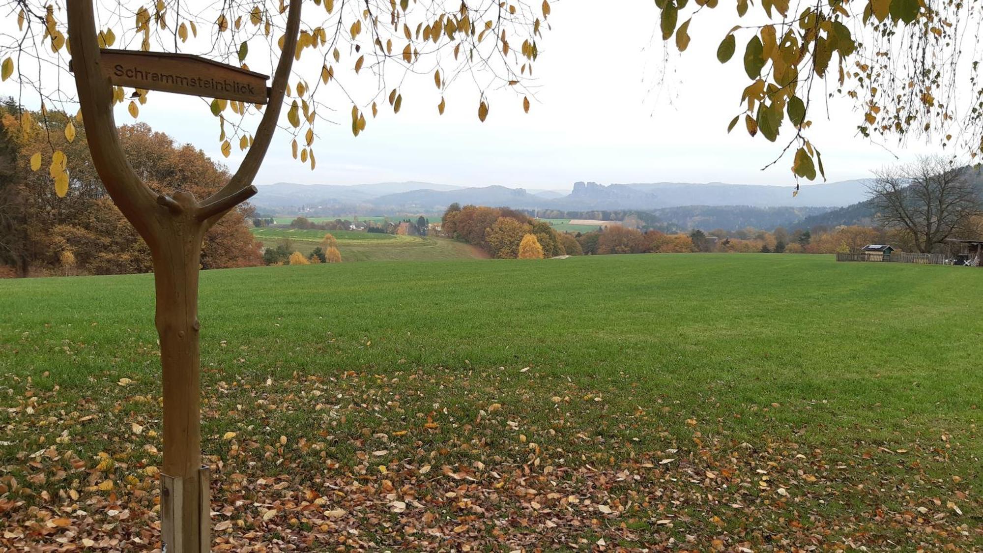 Ferienhaus Papstdorf Kurort Gohrisch Zewnętrze zdjęcie